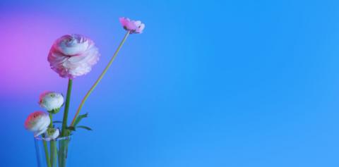 The seven golden rules of investing