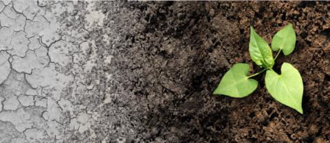 How saving water helps fight climate change