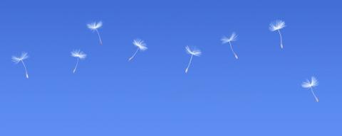 Unplug and detox your mind